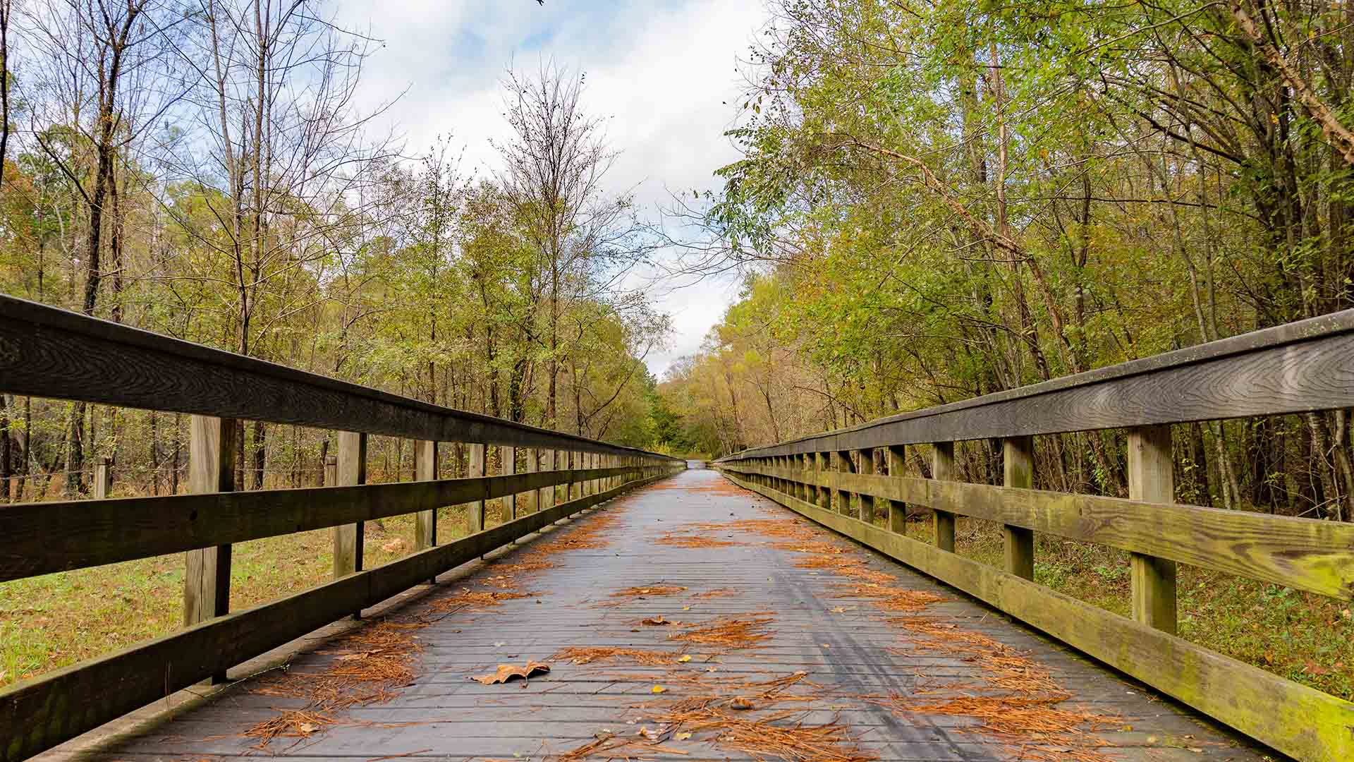 Discover the Best Hiking Trails in Raleigh-Durham